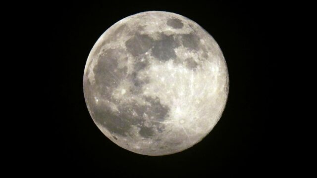 Lua cheia de janeiro de 2026: veja a superlua do Lobo
