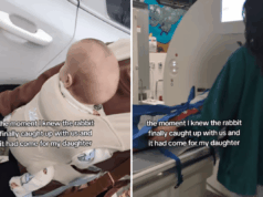 Mãe tem cesariana traumática, 2 semanas depois percebe que a cabeça do bebê não está normal Mãe tem cesariana traumática, 2 semanas depois percebe que a cabeça do bebê não está normal