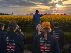 Mais do que um veterinário: tour universitário revela diversas carreiras agrícolas Mais do que um veterinário: tour universitário revela diversas carreiras agrícolas