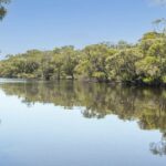 Marcando o final da temporada imobiliária de 2025 refletindo sobre fortes vendas