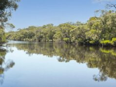 Marcando o final da temporada imobiliária de 2025 refletindo sobre fortes vendas Marcando o final da temporada imobiliária de 2025 refletindo sobre fortes vendas