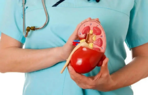 Medicamento comum para constipação pode ajudar a deter o declínio renal: Estudo Medicamento comum para constipação pode ajudar a deter o declínio renal: Estudo