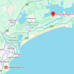 Menina de 1 ano morre após ser atropelada por carro em NSW