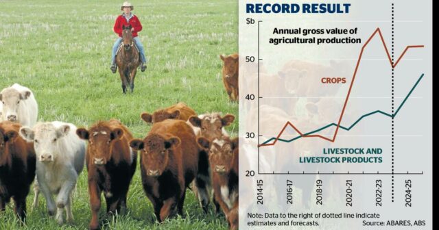 Menos gado para vender, mas os lucros agrícolas disparam à medida que a produção agrícola atinge US$ 100 bilhões
