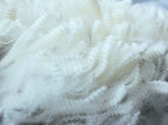 Mercado de lã de WA entra em recesso de três semanas em alta e se despede de 2025 Mercado de lã de WA entra em recesso de três semanas em alta e se despede de 2025