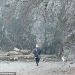 Caminhantes são vistos em uma manhã fria, gelada e nevoenta no campo em Oxfordshire