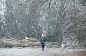 Met Office emite alerta de neve para Londres enquanto o Ano Novo traz congelamento do Ártico que fez com que as temperaturas despencassem para -10ºC Caminhantes são vistos em uma manhã fria, gelada e nevoenta no campo em Oxfordshire