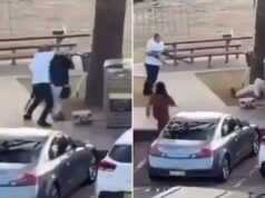 Momento incrível, herói de Bondi Beach desarma terrorista que abriu fogo na festa de Hanukkah Dois homens num parque ao lado de uma árvore e latas de lixo, com carros estacionados em primeiro plano.