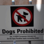 Os moradores de Sydney estão revoltados com a decisão do conselho de proibir cães em uma praia popular nos subúrbios ricos do leste.