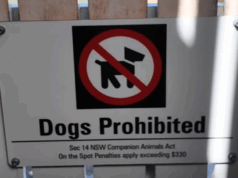 Moradores revoltados com a decisão do conselho de proibir cães em praias populares Os moradores de Sydney estão revoltados com a decisão do conselho de proibir cães em uma praia popular nos subúrbios ricos do leste.