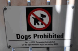 Moradores revoltados com a decisão do conselho de proibir cães em praias populares Os moradores de Sydney estão revoltados com a decisão do conselho de proibir cães em uma praia popular nos subúrbios ricos do leste.