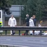 Testemunhas disseram que viram o homem brandindo uma arma após a colisão entre um carro e uma van Mercedes em Thetford, Norfolk, às 20h25 de domingo. Imagem da cena