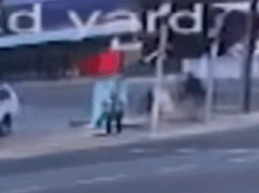 Mulher, 84 anos, gravemente ferida em suposto ataque não provocado Mulher, 84 anos, gravemente ferida em suposto ataque não provocado