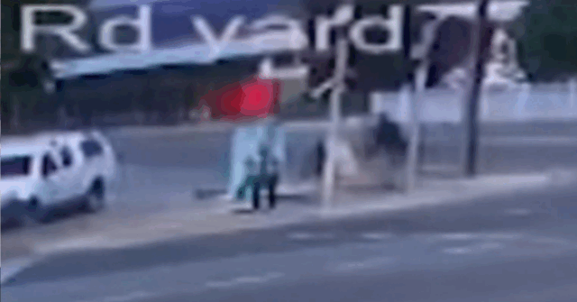 Mulher, 84 anos, gravemente ferida em suposto ataque não provocado
