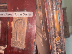 Mulher descobre botão ‘secreto’ em porta antiga e fica chocada com o que ele faz Michaela Rose's doors had a secret.