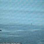 Em maio, um visitante que observava o lago de um ponto elevado por volta das 15h40 avistou um pequeno barco a motor entrando na baía