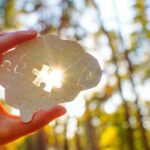 Neurologista recomenda 6 maneiras naturais de proteger seu cérebro