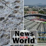 Pegadas de dinossauros de um prossaurópode foram encontradas no Parque Nacional Stelvio, nos Alpes Centrais.