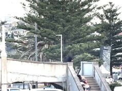 Novas imagens mostram sobreviventes de Bondi Beach se escondendo a poucos metros de homens armados que realizam o massacre – enquanto a polícia revela fotos que supostamente mostram pares treinando com armas semanas antes A filmagem inédita do ataque mostrou dois homens, uma criança, um adolescente e uma mulher encolhidos em uma escada que levava a uma passarela, onde suspeitos de que os atiradores terroristas teriam aberto fogo contra pessoas que celebravam o Hanukkah.