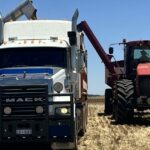 Novas instalações no horizonte para clube de hóquei após colheita comunitária