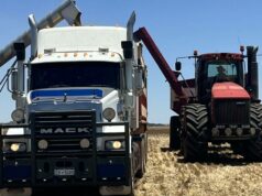 Novas instalações no horizonte para clube de hóquei após colheita comunitária Novas instalações no horizonte para clube de hóquei após colheita comunitária