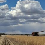 Novo benchmark de colheita definido enquanto produtores de WA entregam safra recorde