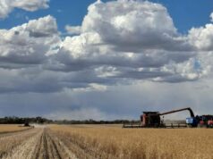 Novo benchmark de colheita definido enquanto produtores de WA entregam safra recorde Novo benchmark de colheita definido enquanto produtores de WA entregam safra recorde