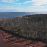 foto aérea alta de florestas e rios.