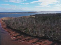 O Canadá prometeu novos parques e proteção da natureza. Isso mudou com Carney no poder? foto aérea alta de florestas e rios.