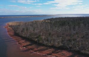 O Canadá prometeu novos parques e proteção da natureza. Isso mudou com Carney no poder? foto aérea alta de florestas e rios.