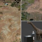 O caminho tortuoso do dinossauro manco confunde os paleontólogos 150 milhões de anos depois