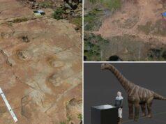 O caminho tortuoso do dinossauro manco confunde os paleontólogos 150 milhões de anos depois O caminho tortuoso do dinossauro manco confunde os paleontólogos 150 milhões de anos depois