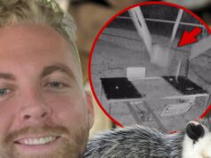 O criador de conteúdo Charles Ross está sob investigação pelo vídeo Opossum Catapult Ross Creations Possum Lançamento Principal 2