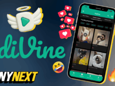 O ex-chefe de Jack Dorsey revive Vine para escapar de ‘AI Slop’ O ex-chefe de Jack Dorsey revive Vine para escapar de ‘AI Slop’