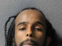 O facado culpado que matou o jardineiro do Palácio de Kensington e depois se entregou é preso por 27 anos Elyas Moussa foi condenado à prisão perpétua com pena mínima de 27 anos pelo assassinato da Recorda Davey-Ann Clarke