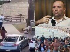 O herói de Bondi Beach, Ahmed al Ahmed, dá a primeira entrevista desde o ataque: ‘Basta tirar a arma dele’ O herói de Bondi Beach, Ahmed al Ahmed, dá a primeira entrevista desde o ataque: 'Basta tirar a arma dele'