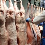 O maior processador de gado de WA oferece mais de US$ 10/kg para garantir o fornecimento de cordeiro no verão