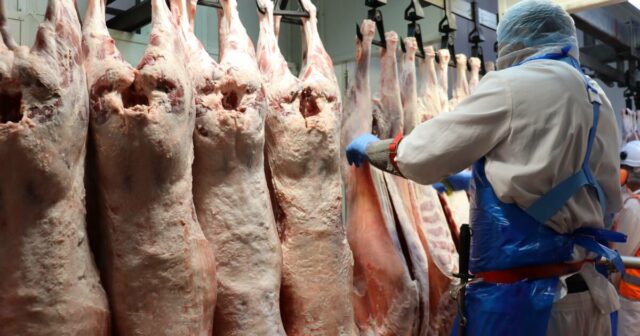 O maior processador de gado de WA oferece mais de US$ 10/kg para garantir o fornecimento de cordeiro no verão
