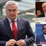 Retrato de James Comer.