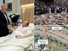 O primeiro-ministro australiano, Anthony Albanese, anuncia prêmio de bravura para os heróis do ataque anti-semita de Bondi O primeiro-ministro australiano, Anthony Albanese, anuncia prêmio de bravura para os heróis do ataque anti-semita de Bondi