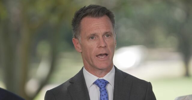 Minns convocou as novas reformas sobre armas 