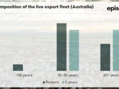 O risco oculto de um bilhão de dólares que ameaça as exportações de gado vivo | Episódio 3 O risco oculto de um bilhão de dólares que ameaça as exportações de gado vivo | Episódio 3
