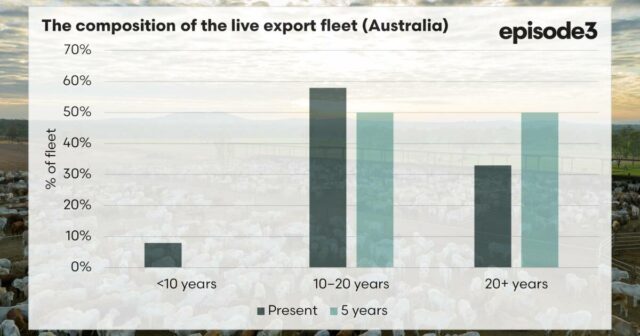 O risco oculto de um bilhão de dólares que ameaça as exportações de gado vivo | Episódio 3
