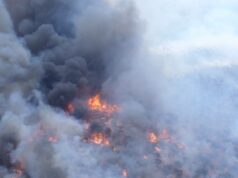 O terror começa a temporada de incêndios com um segundo agricultor morto lutando contra um incêndio florestal O terror começa a temporada de incêndios com um segundo agricultor morto lutando contra um incêndio florestal