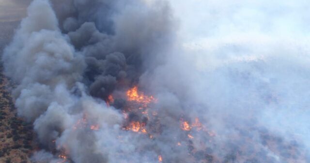O terror começa a temporada de incêndios com um segundo agricultor morto lutando contra um incêndio florestal
