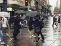 O único estado pronto para ficar encharcado no dia de Natal Sydney, Austrália - 2 de março de 2013: Pessoas atravessando a Pitt Street em Sydney durante uma forte chuva. Pedestres atravessando a rua em semáforos durante uma chuva.