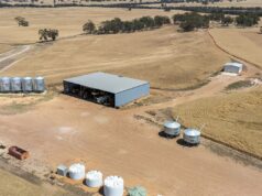 O valor dos terrenos está em ascensão com os Anciãos vendendo mais fazendas por mais dinheiro O valor dos terrenos está em ascensão com os Anciãos vendendo mais fazendas por mais dinheiro