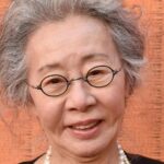 O vencedor do Oscar de 'Minari', Youn Yuh-jung, reflete sobre a carreira de seis décadas no Festival de Cinema de Cingapura: 'Não sou o Papa, não tenho nenhuma mensagem'