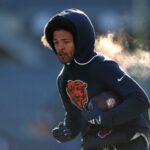 logotipo de fantasia azarão