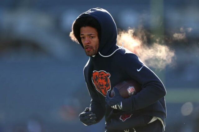 logotipo de fantasia azarão